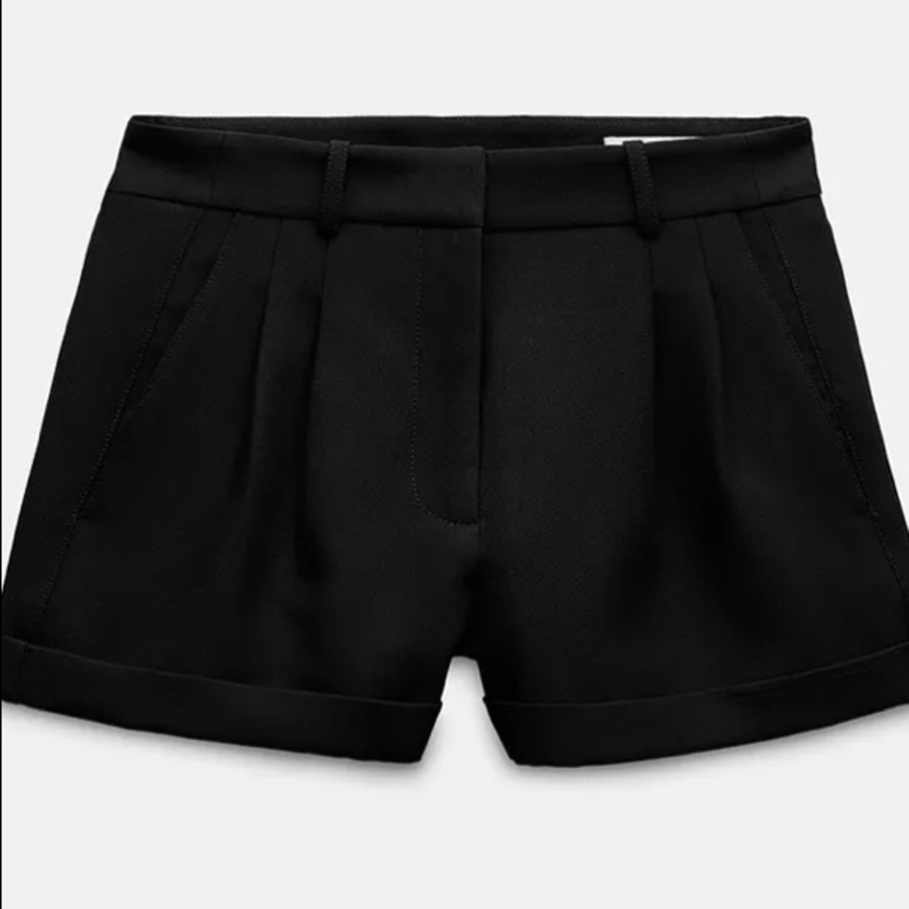 Zara, black pleated ZW collection, black size medium.